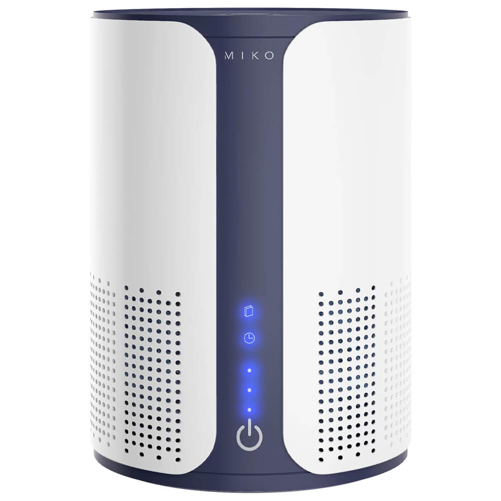 Allergies and Asthma Dust Smoke Odor Pet Dander