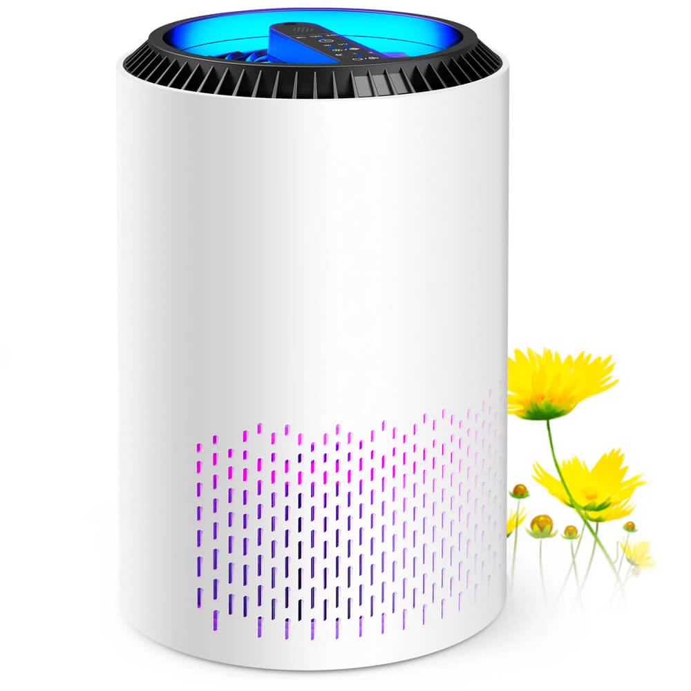 Allergies and Asthma Dust Smoke Odor Pet Dander