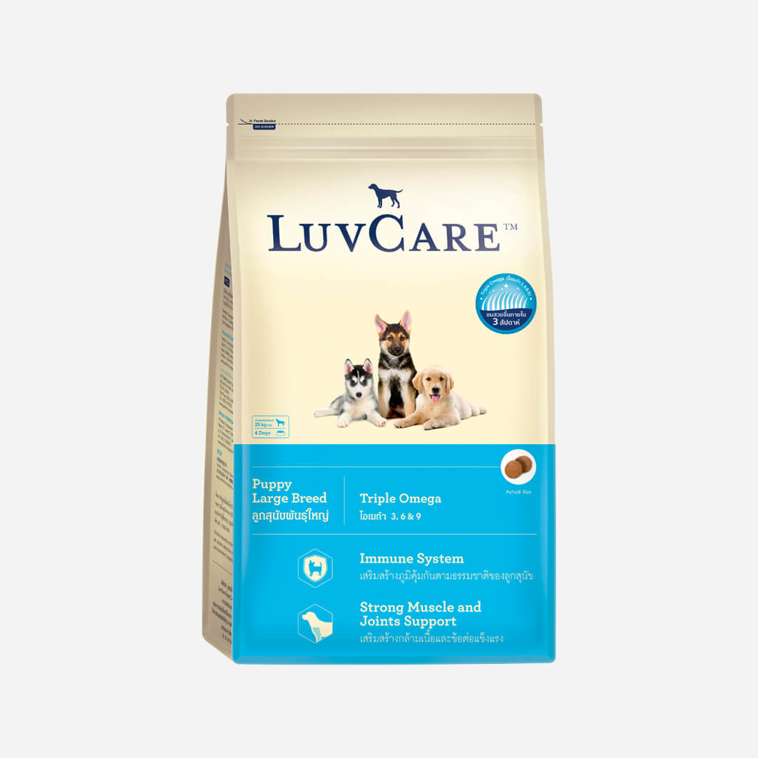 Dr.HOLI Pet Milk 200ml, Various Type for All Pets