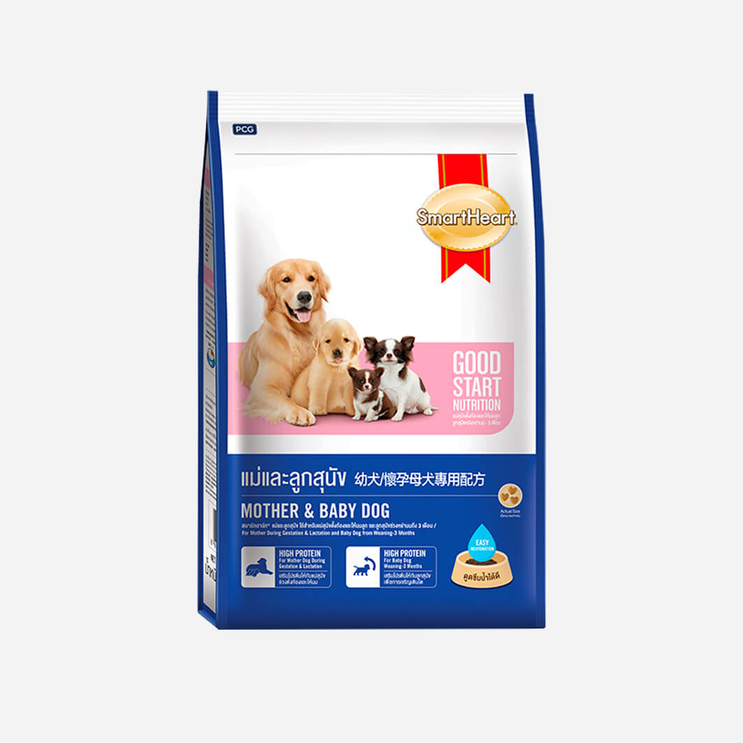 Den-T Stick Milky Flavour, 6 stick, 70g