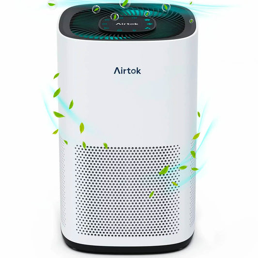 Allergien und Asthma Staub Rauch Geruch Tierhaare