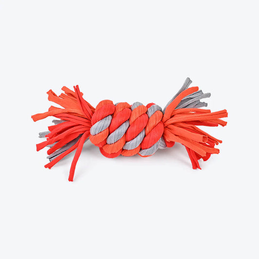 Dash Dog Zigzag Branch Apportierspielzeug für Hunde, Grün/Rot